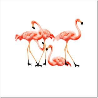 Flamingo Flock, Love Flamingos Tropical Birds Posters and Art